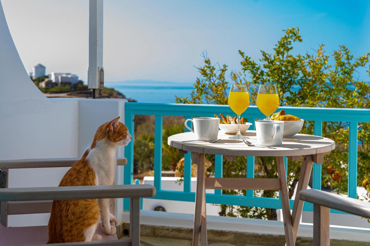 Aegean Dream Apartments Tínos Exteriér fotografie